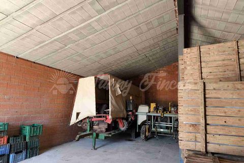 Landejendom i Caudete, Albacete, Caudete - € 95.000 | Ref: SF0539 - foto 12